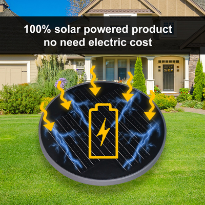 Create a Well-Lit Outdoor Environment with Solar Garden Lights at 6500K CCT