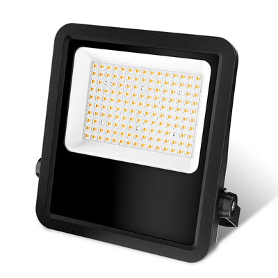 KCD Aluminum 6500k Lens Projectors 5054 SMD IP65 Outdoor COB OEM Floodlight 100w 200w 300w 400 Watt LED Flood Light